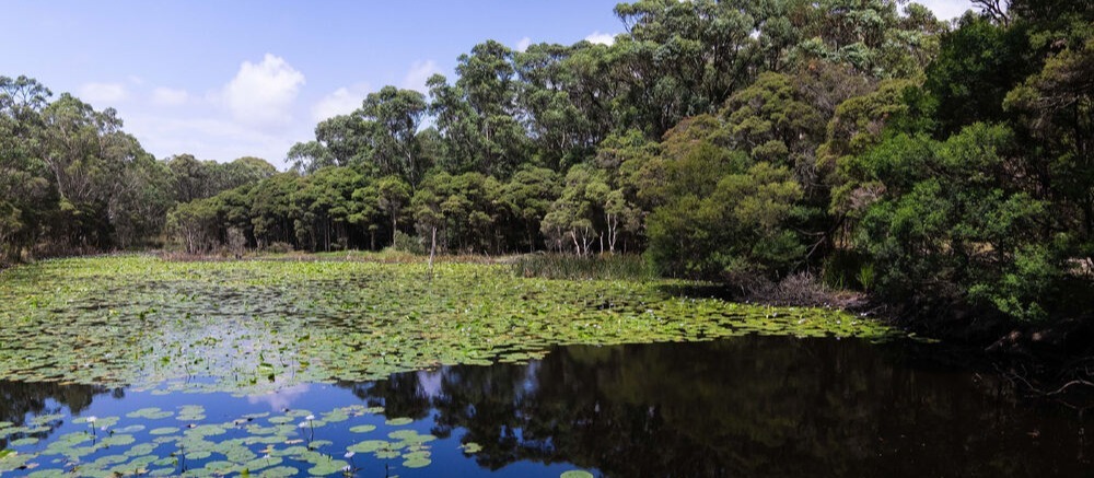 Luxury Motor Resort Australia