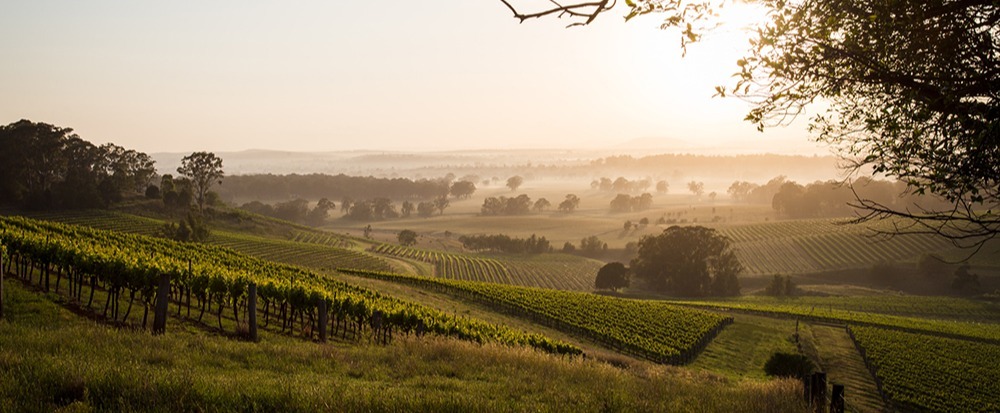 Local Region Hunter Valley Newcastle Sydney